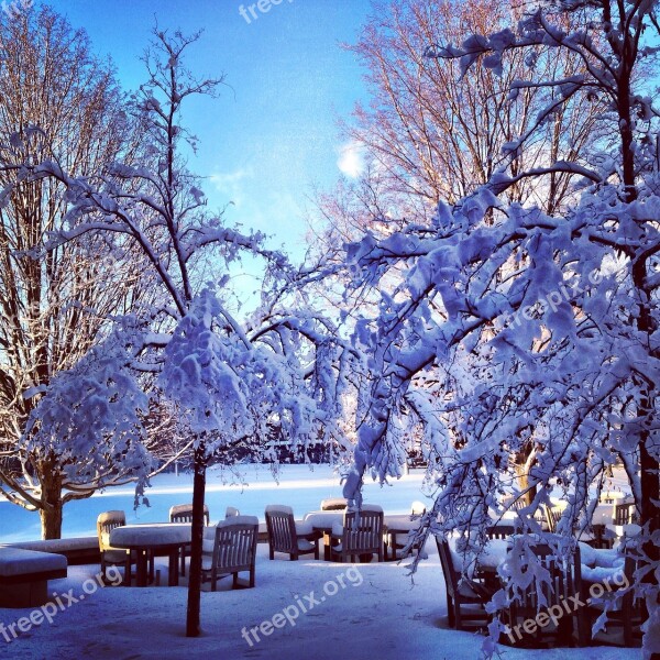 Winter Landscape Winter Landscape Snow Nature