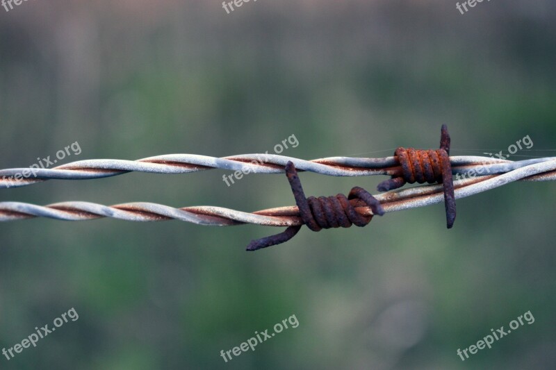 Barbed Wire Rust Rusty Wire Bound