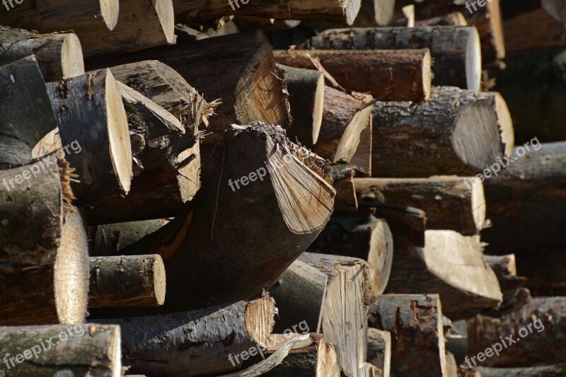 Holzstapel Tree Trunks Wood Like Strains