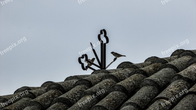 Cyprus Xylotymbou Church Roof Old