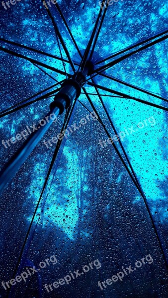 Umbrella Rainy Weather Blue Free Photos