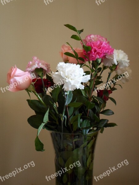 Bouquet Flowers Plants Petals Carnations