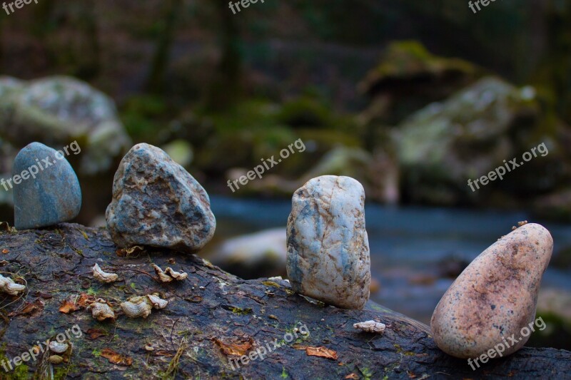 Stones Log Line Arranged Nature