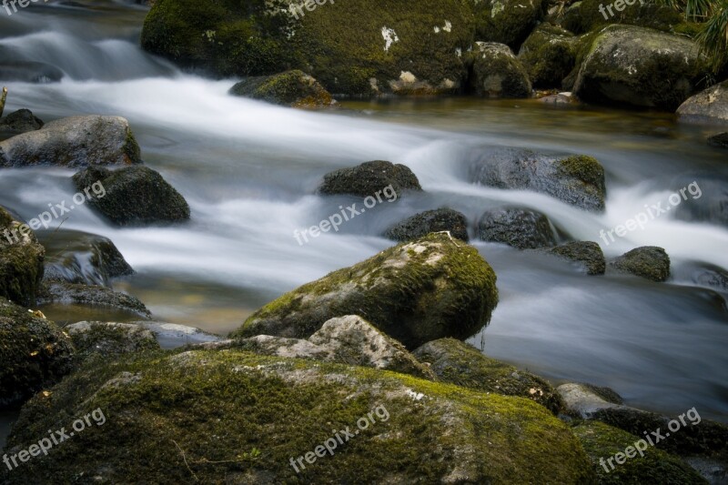 River Slow Exposure Woodland Moss