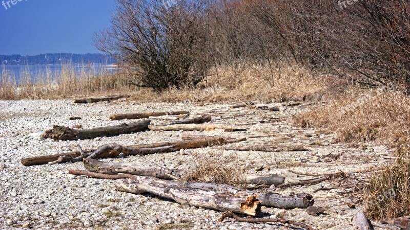 Bleak Lonely Flotsam Drift Wood Beach