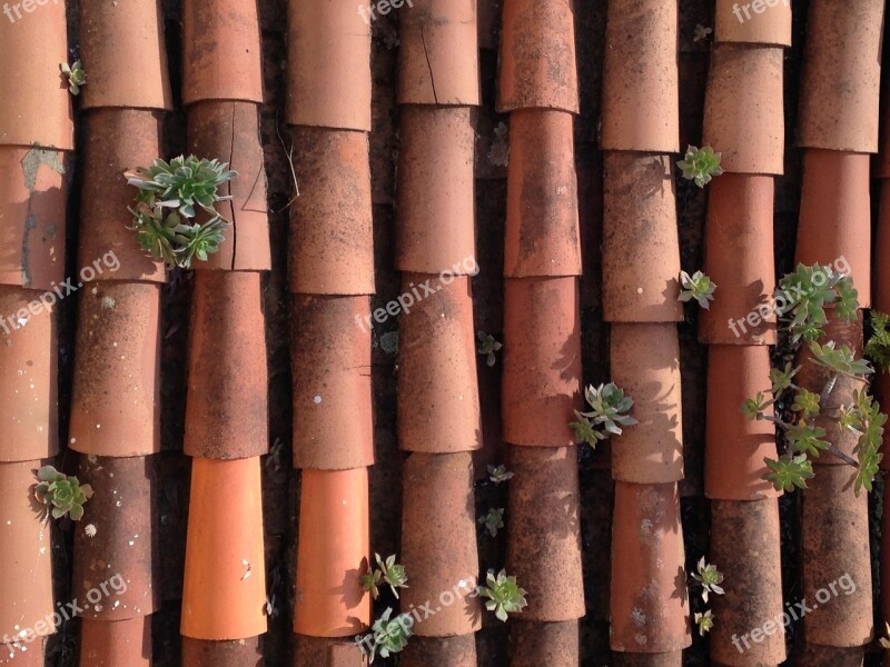 Roof Texas Verol Texture Old Building