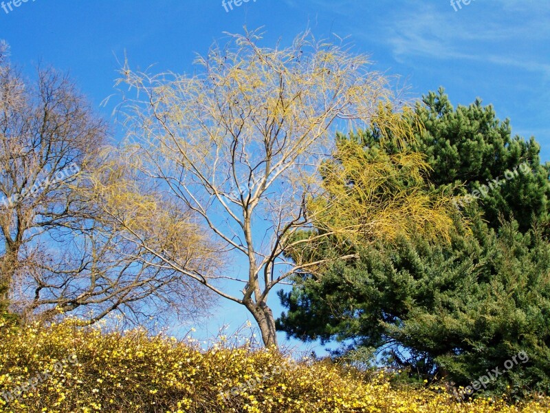 Spring Landscape The Awakening Of Nature Season Free Photos