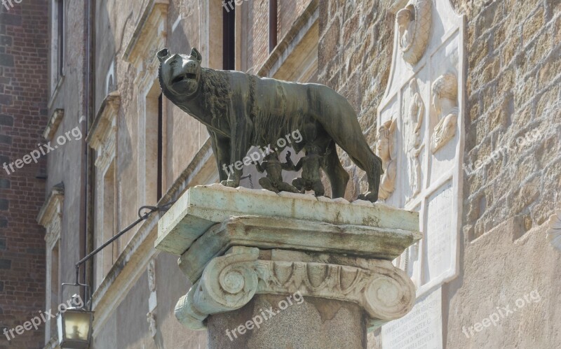 Rome Capitoline Wolf Place Du Capitole Capitol Hill Free Photos