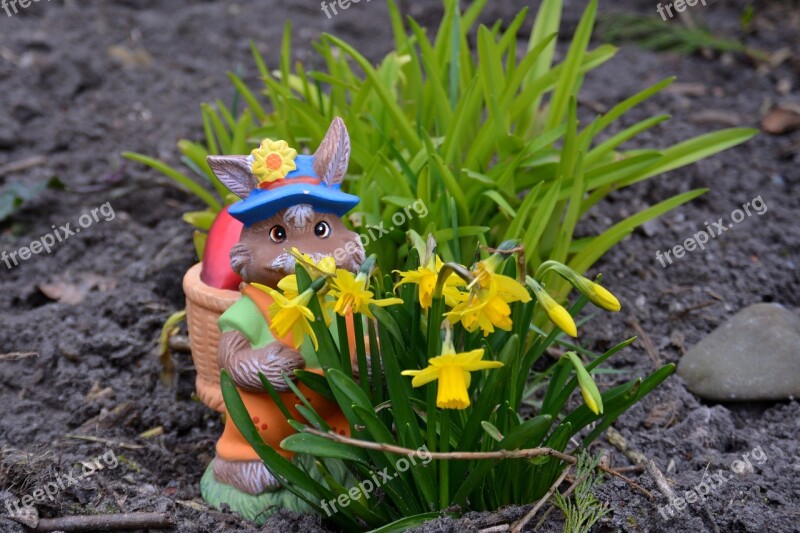 Easter Bunny Flowers Spring Easter Hare