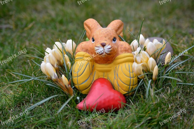 Easter Bunny Heart Deco Flowers Crocus