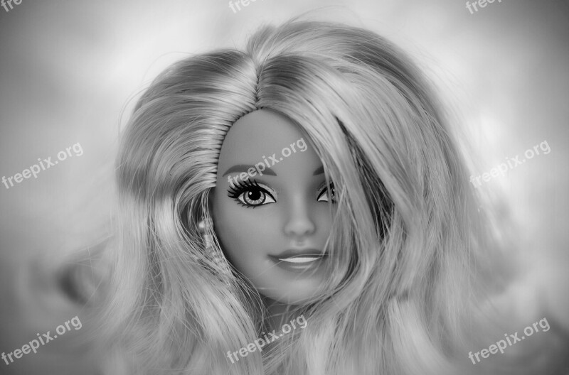 Beauty Barbie Pretty Doll Charming