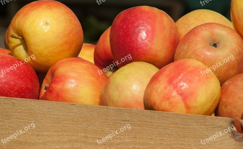 Apples Orchards Apple Market Fruit