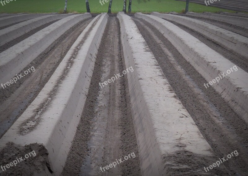 Agricultural Agriculture Cultivation Asparagus Cultivation Ackerfurchen