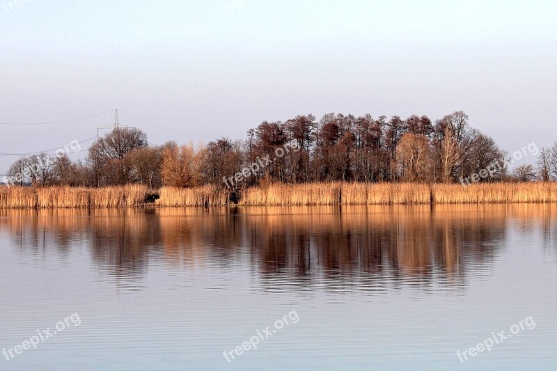 Lake Trees Shadow Landscape Mirrored Trees