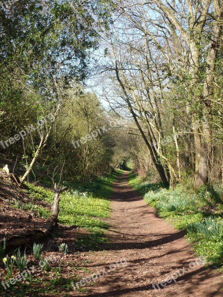 Spring Woodland Outdoor Free Photos