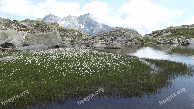 Mountains Meadow Grasses Landscape Alpine