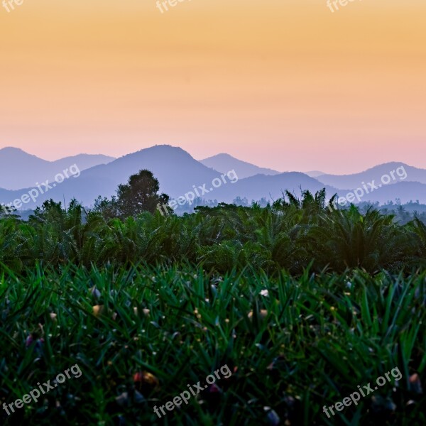 Sunset Hill Mountain Sunset Landscape Outdoor