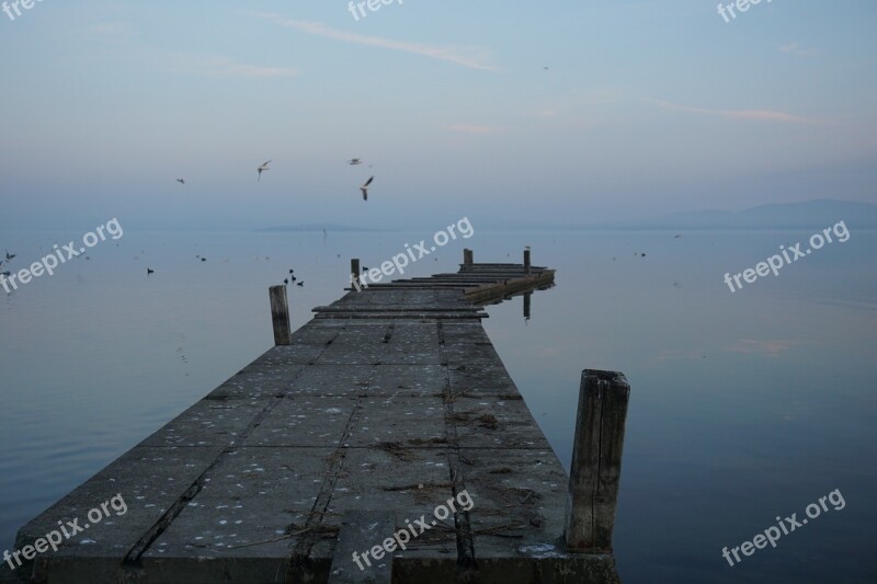 Lake Jetty Winter Water Nature