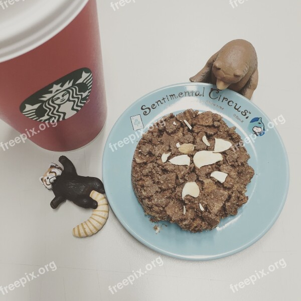 Sleep Jewelry Starbucks Chocolate Free Photos