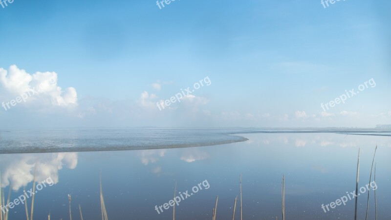 Water Coast Salt Marsh Nature Sea