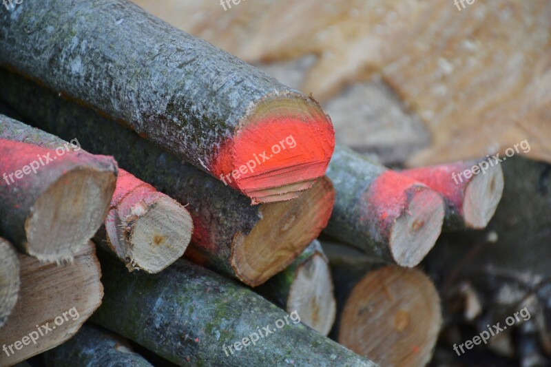 Wood Firewood Holzstapel Sawed Off Log