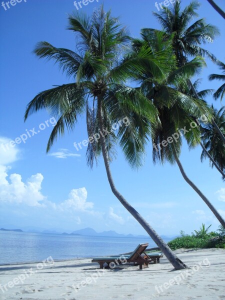 Beach Sea Holidays Palm Sand