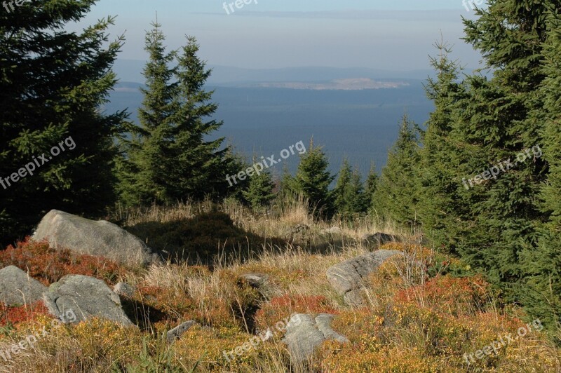 Mountains Forest Nature Okertalsperre Rock