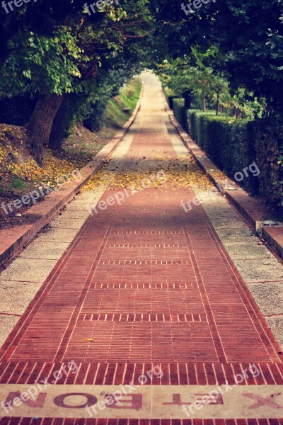 Pathway Brick Street Walkway Footpath Paved