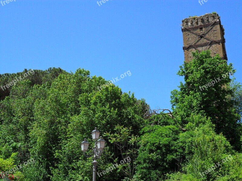 Torre Trees Green Middle Ages Nature