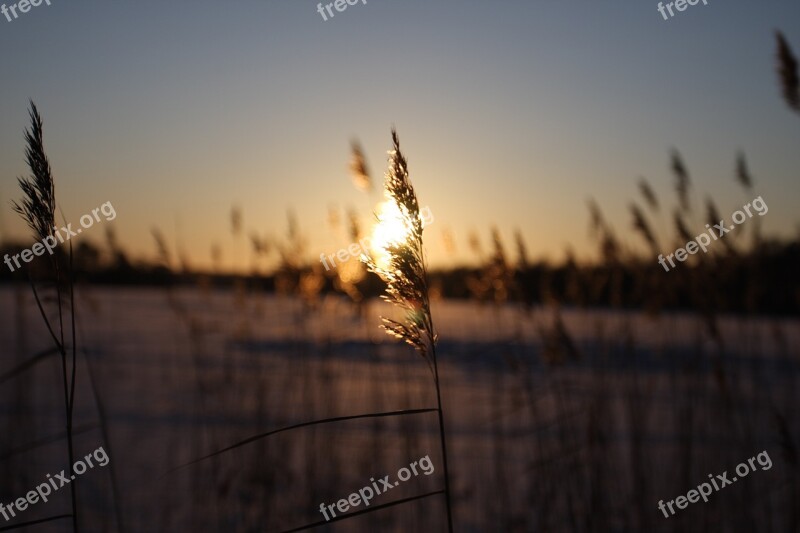 Photo Sunset Snow Ice Frozen Lake