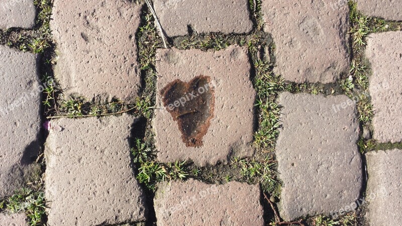 Heart Paving Stones Water Free Photos