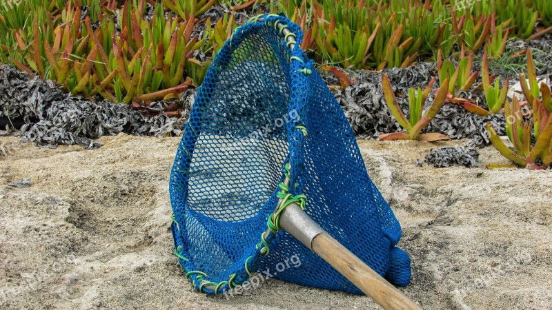 Net Fishing Catch Equipment Blue