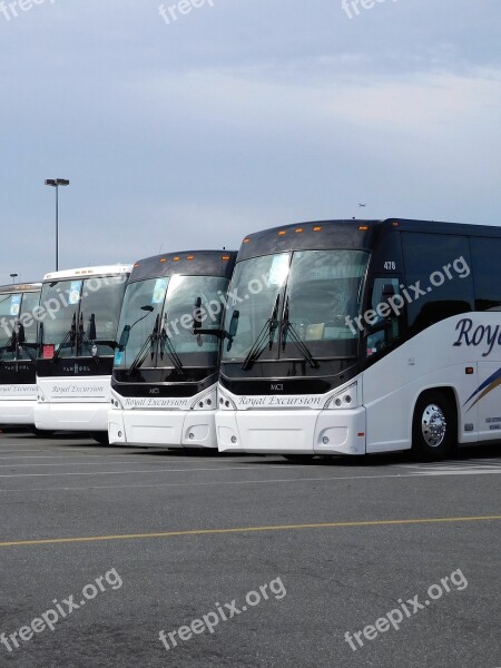 Buses Travel Transportation Vehicle Free Photos