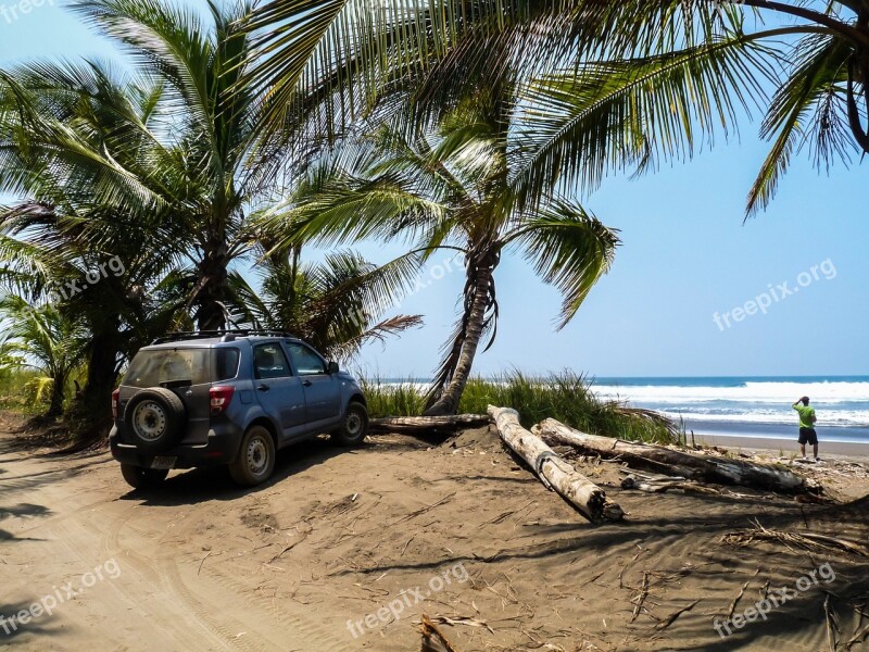 Costa Rica Palm Trees Beach Sea Tropics