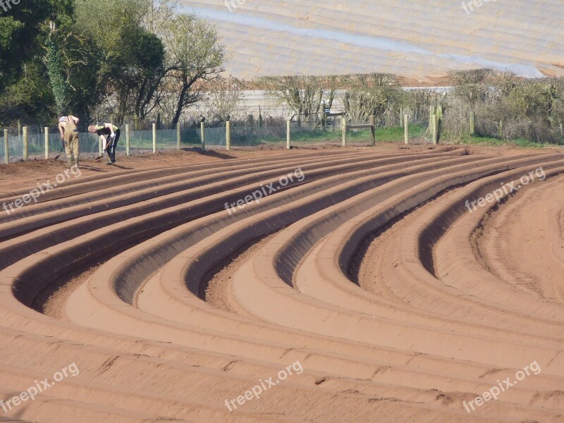 Farming Planting Agriculture Free Photos