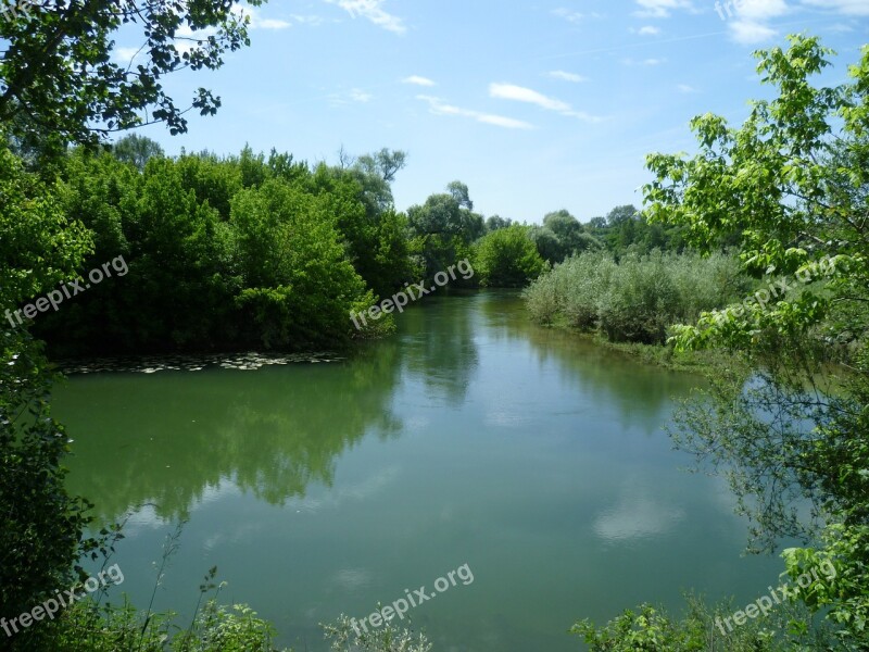 Nature Forest Water Green River