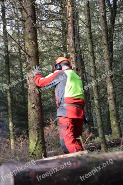 Cutting Forest Roughhouse Wood Nature