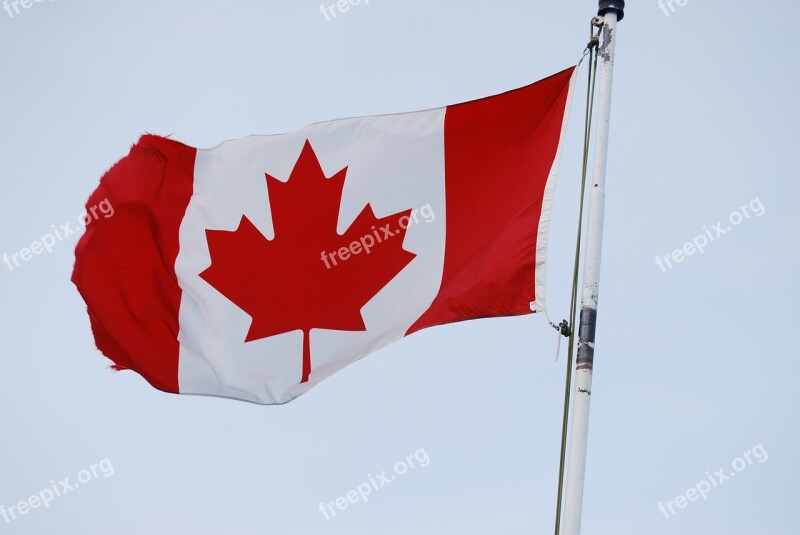 Canada Flag Maple Leaf Flag Canadian Flag Free Photos