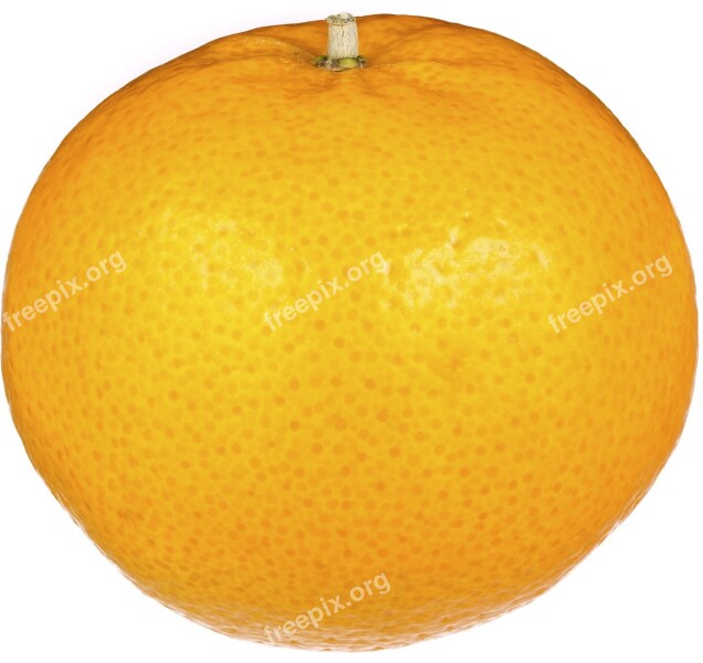 Orange Fruit Fresh White Background Fruits And Vegetables