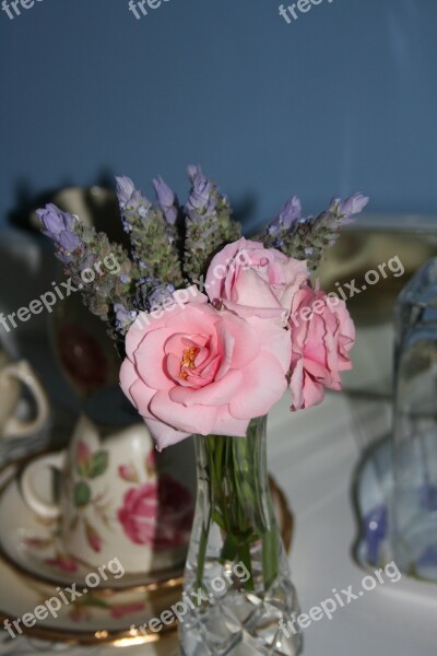 Still Life Roses Table Flower Love