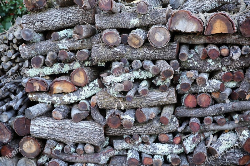 Wooden Log Wood Cup Sawn Tree