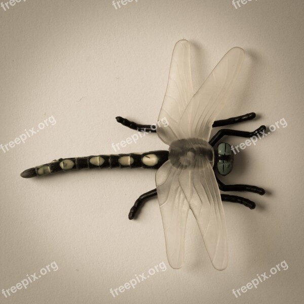 Dragonfly Plast Bug Toy Free Photos