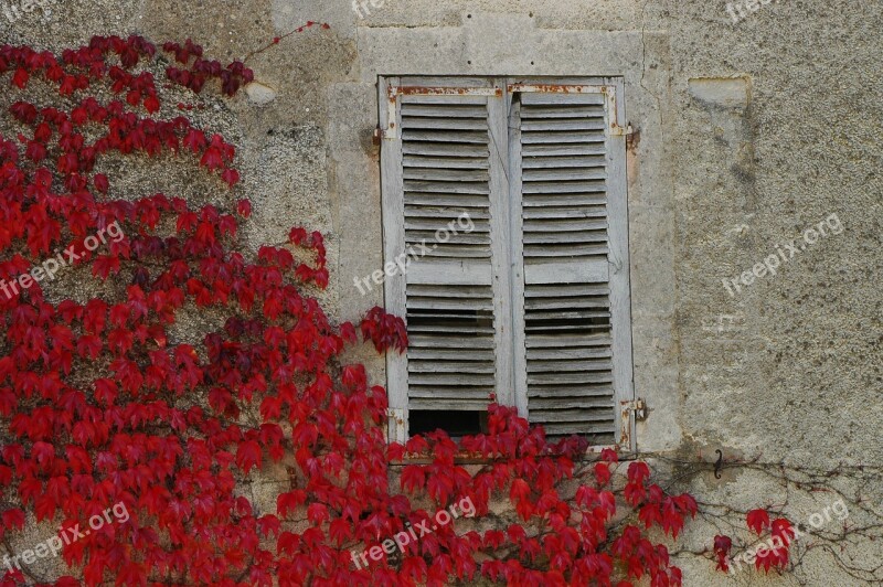 Leaves Red Autumn Shutters Abandoned