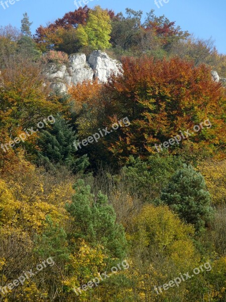 The Founding Fathers Poland The National Park Landscape Autumn