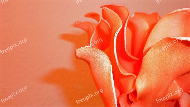 Artificial Flower Flowers Color Hue Nature