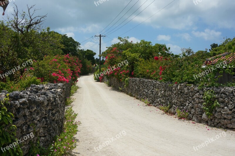 Japan Okinawa Landscape Island Tropical