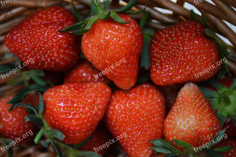 Strawberry Fruit Spring Red Food