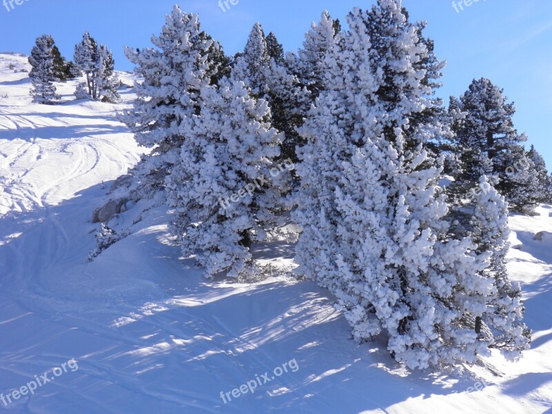 Villard-de-lans France Snow Winter Mountain