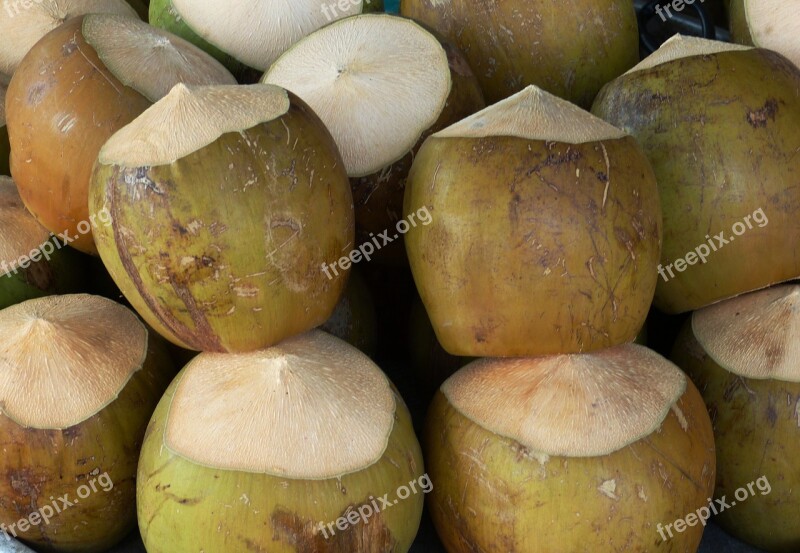 Coconut Nut Healthy Food Nutrition