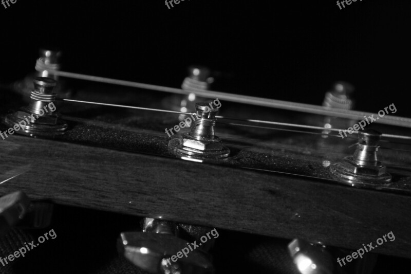 Tuning Pegs Guitar Tuning Music Instrument